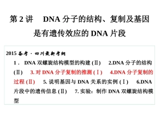 第2讲　DNA分子的结构、复制及基因是有遗传效应的DNA片段