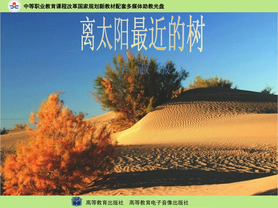 离太阳最近的树1_第1页