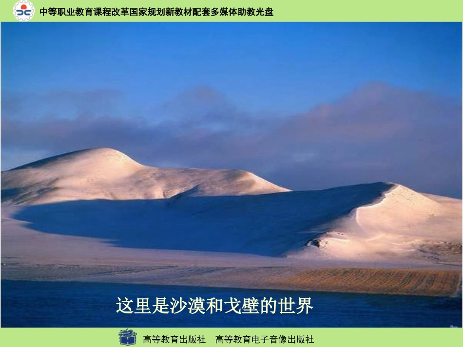 离太阳最近的树1_第2页