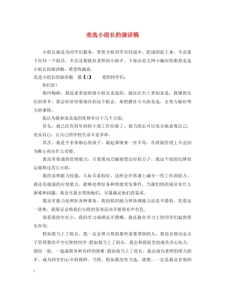 竞选小组长的演讲稿 