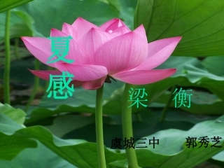夏感教学设计