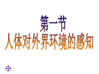 第一节人体对外界环境的感知（28PPT）