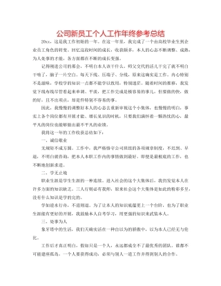 公司新员工个人工作年终参考总结 
