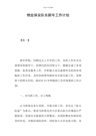 物业保安队长新年工作计划