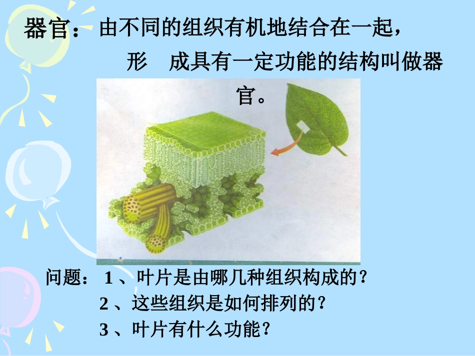 七年级生物多细胞生物体的结构层次1_第3页