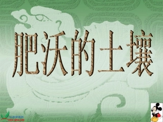 苏教版小学科学三年级下册《肥沃的土壤》课件