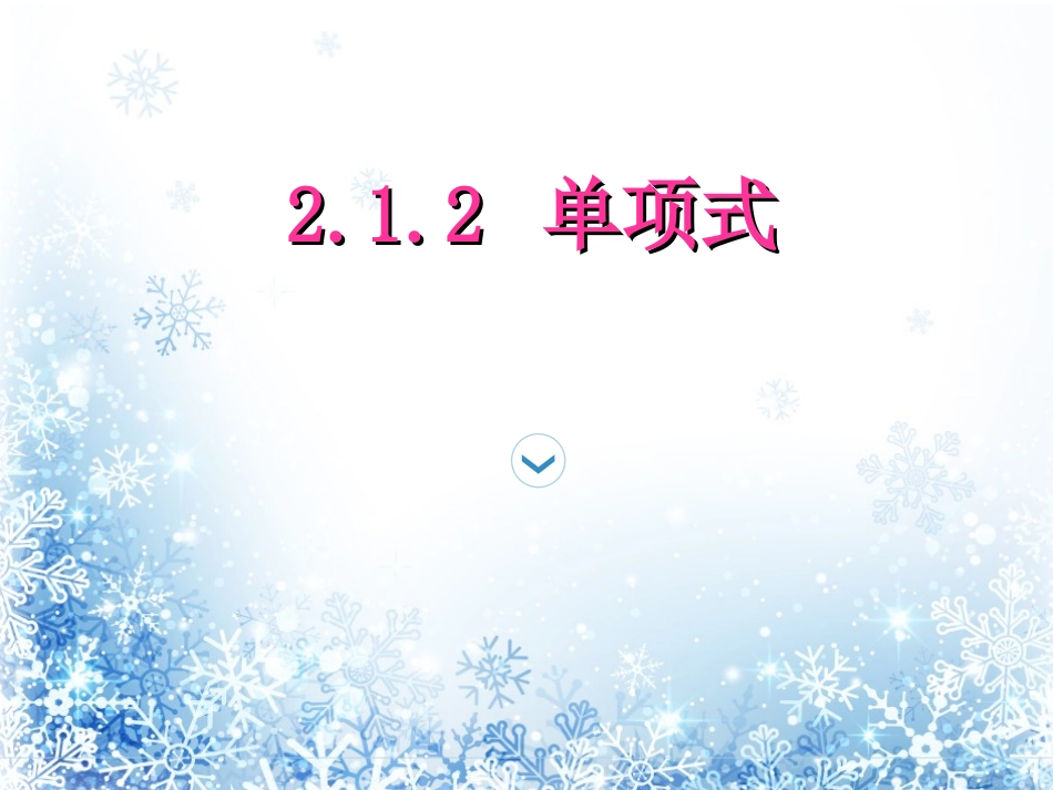 单项式 (2)_第1页