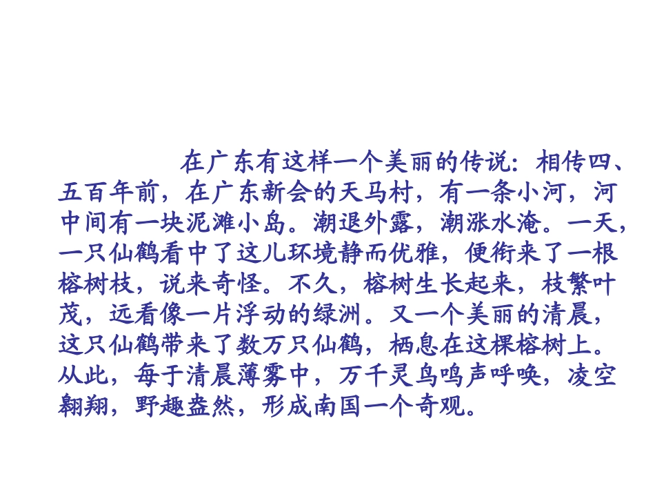 鸟的天堂第一课时_第1页