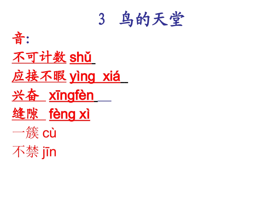 鸟的天堂第一课时_第3页