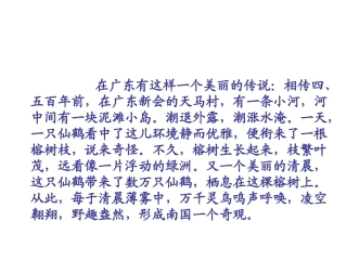鸟的天堂第一课时