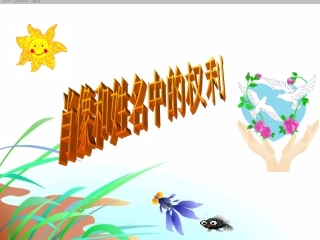 肖像和姓名中的权利 (4)