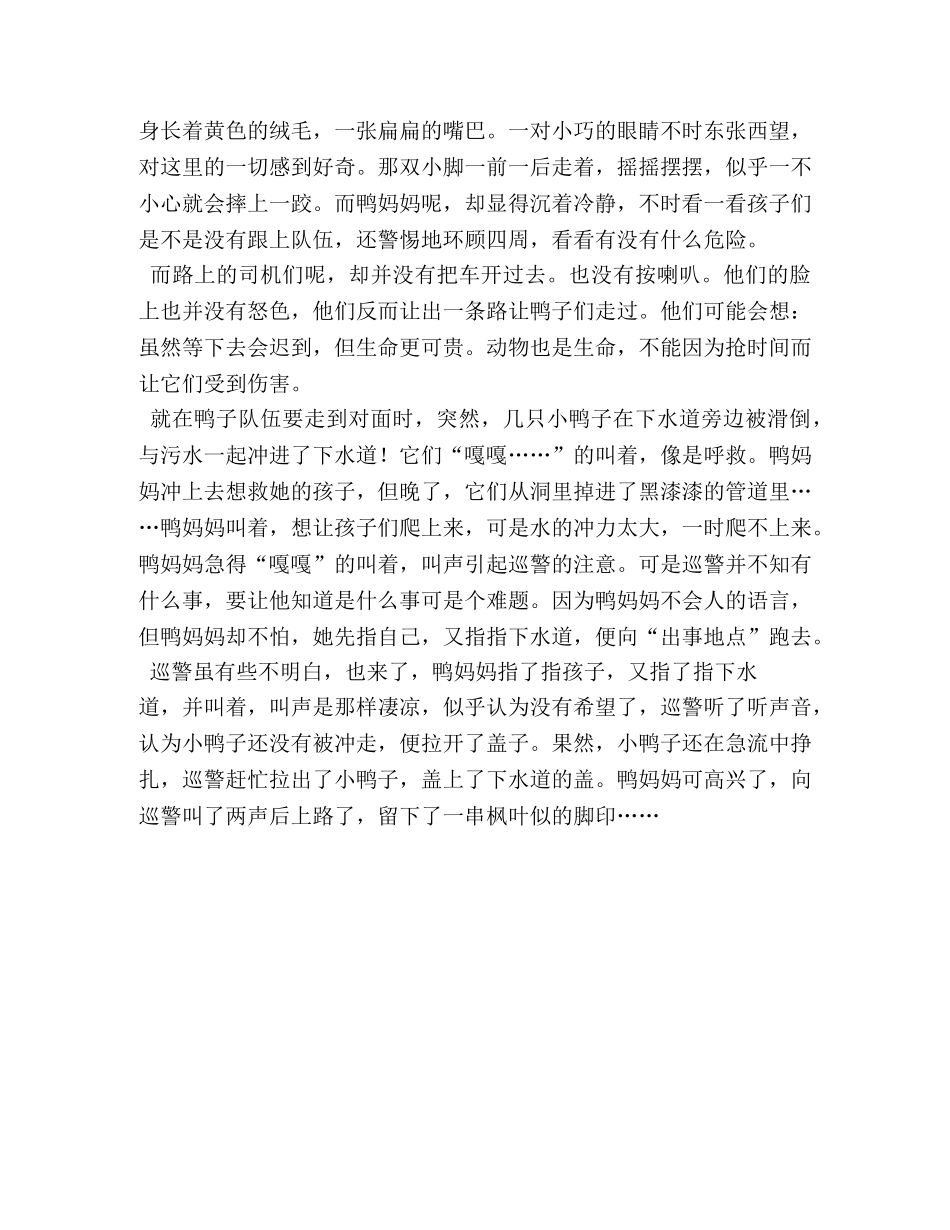 小鸭子得救了,小鸭子得救了作文800字 _第3页