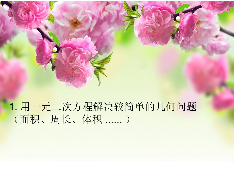223实践与探索__(新华东师大版__一元二次方程的应用)_第3页