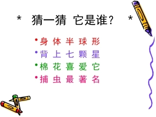 瓢虫的花衣裳
