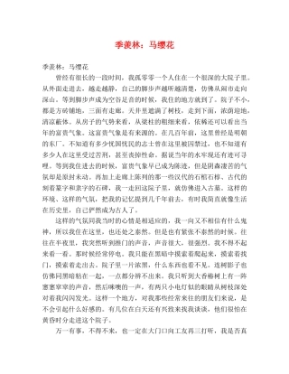 季羡林马缨花 