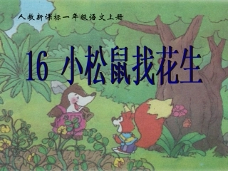 一年级语文上册 小松鼠找花生课件 人教新课标版