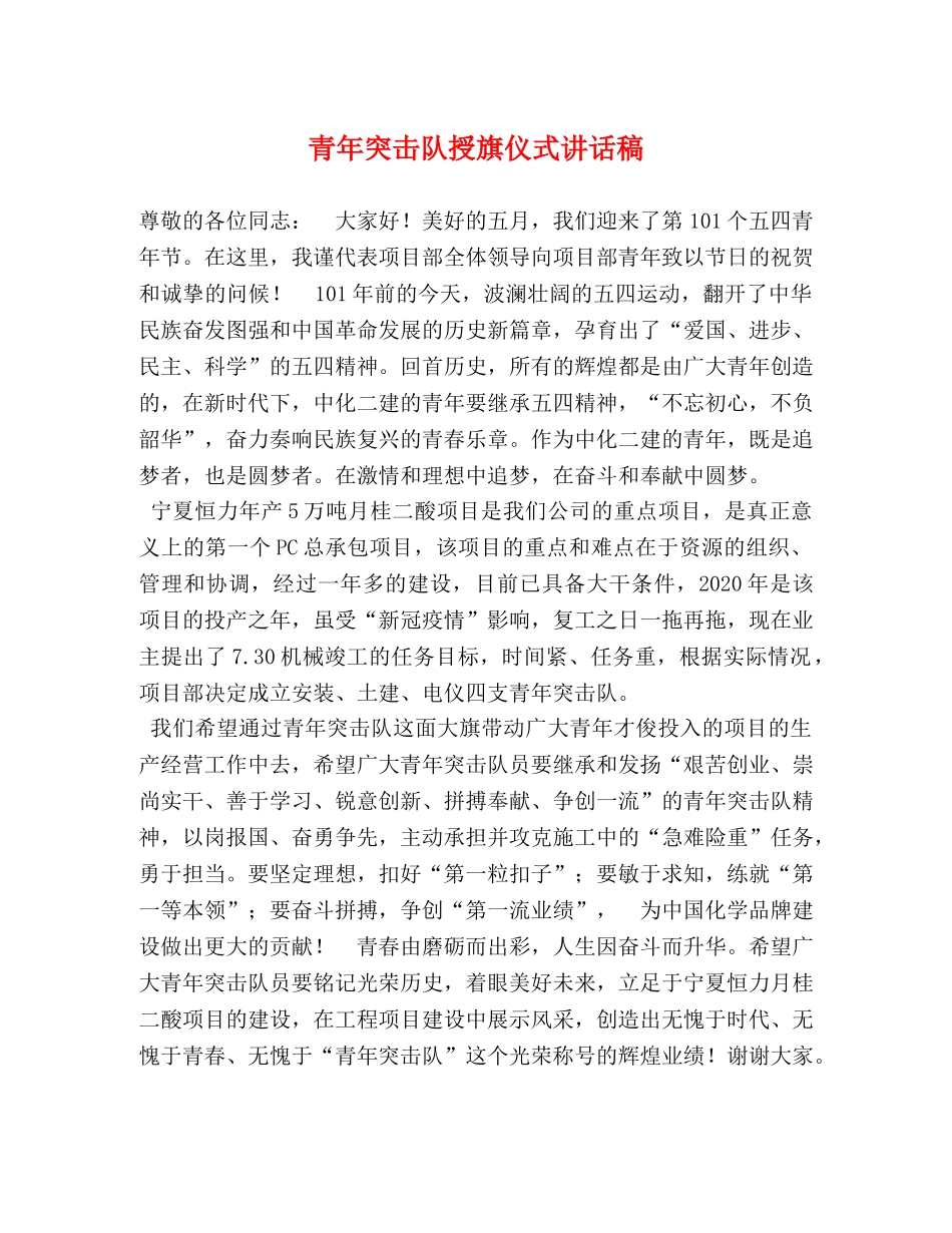 青年突击队授旗仪式讲话稿 _第1页