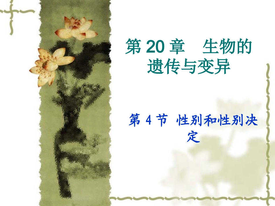 第4节性别和性别决定_第1页