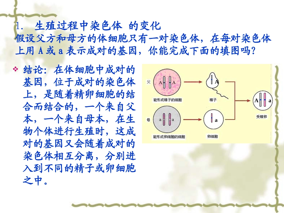 第4节性别和性别决定_第3页