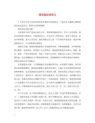 团员鉴定表范文 