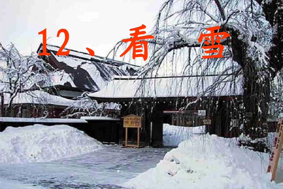 看雪1 (2)_第1页