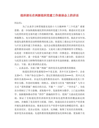 组织部长在两新组织党建工作座谈会上的讲话 