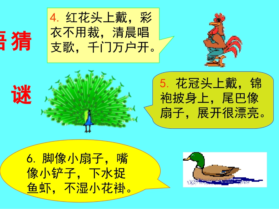 《比尾巴》教学课件_第2页