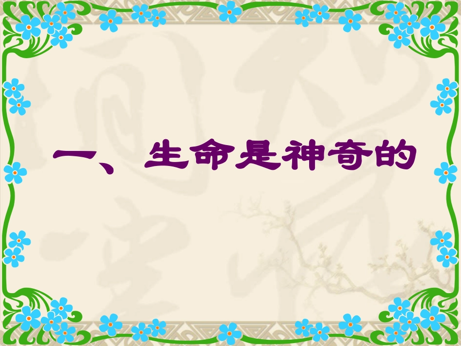 珍爱生命课件_第2页