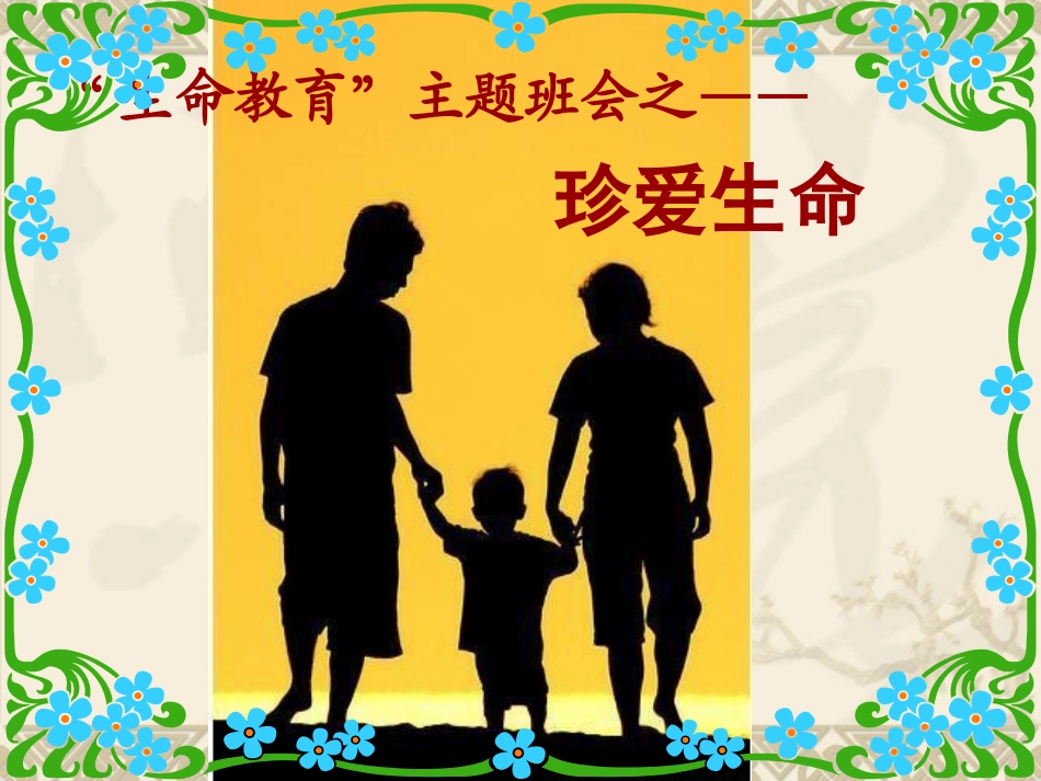 珍爱生命课件_第3页