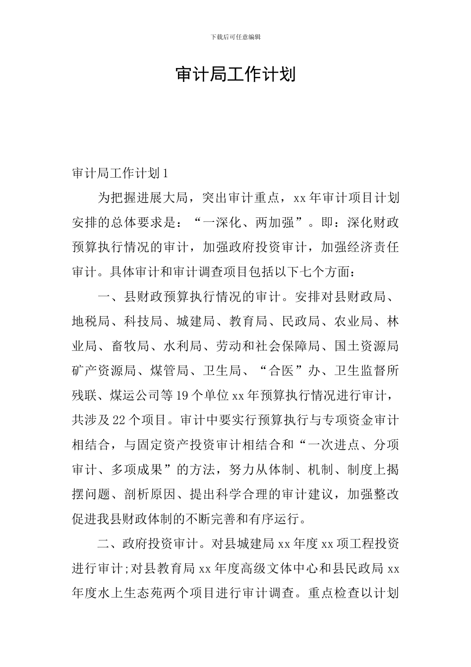 审计局工作计划_第1页