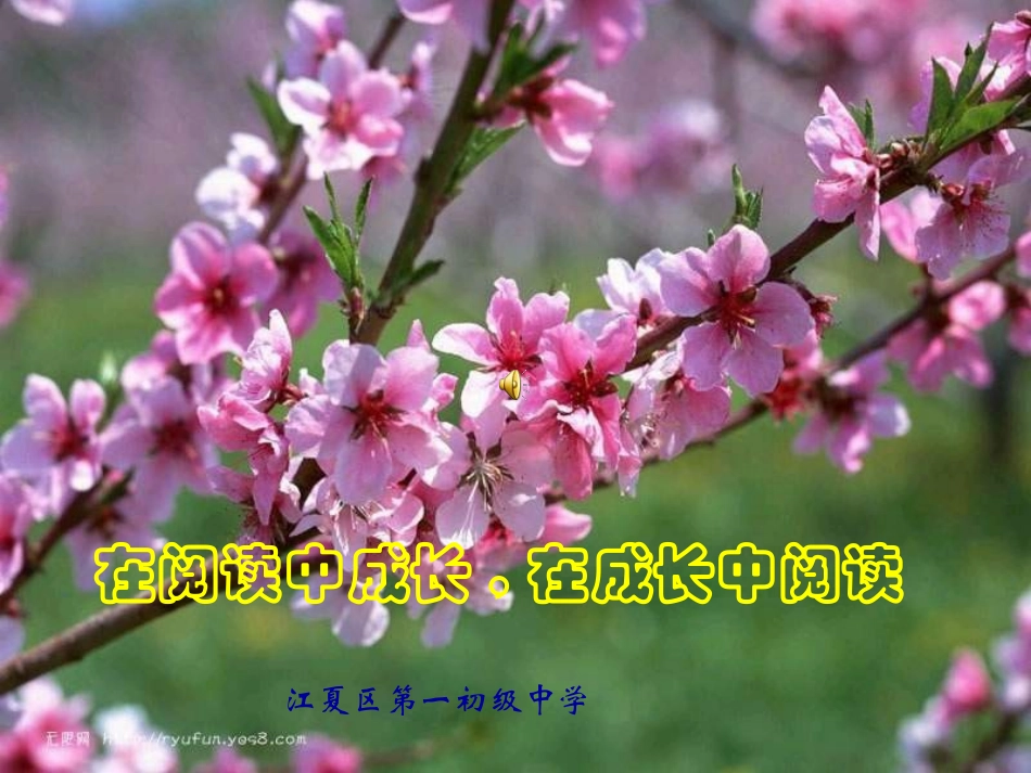 夸父逐日课件_第1页
