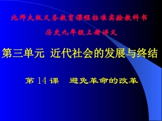 第14课避免革命的改革讲义