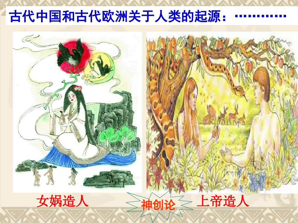 1人类的形成_第2页