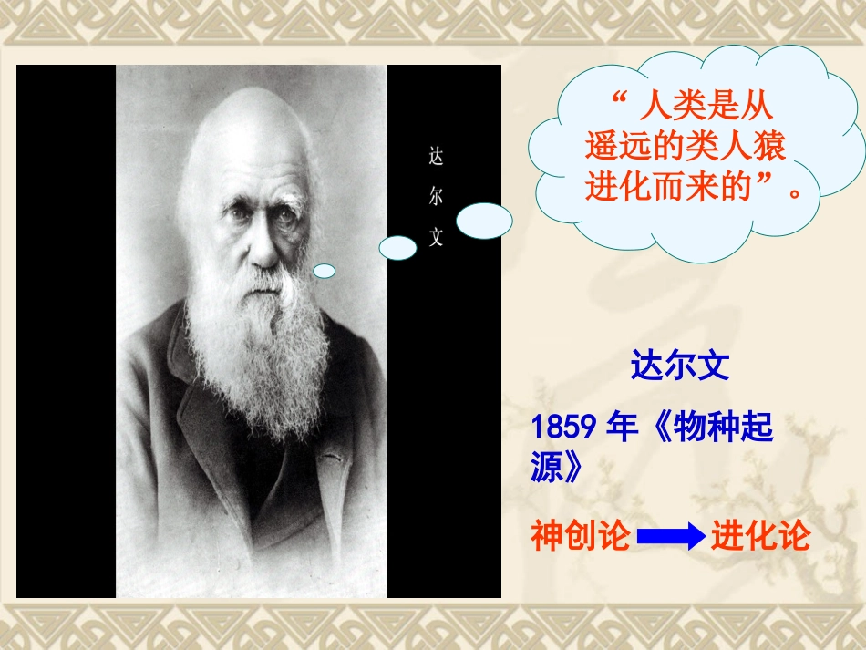 1人类的形成_第3页