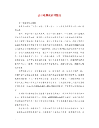会计电算化实习鉴定 