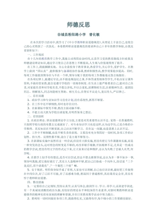 师德师风反思