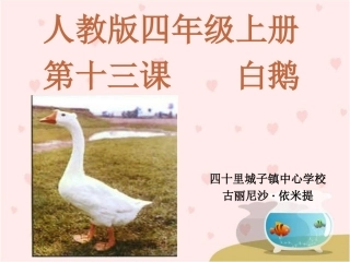 《白鹅》课件6
