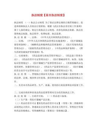 执法制度【某市执法制度】 