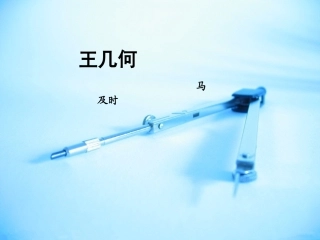 王几何 (3)