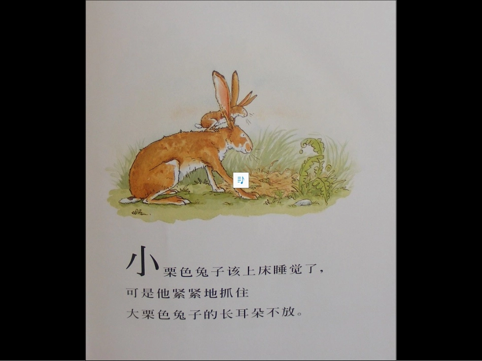 猜猜我有多爱你 (9)_第3页