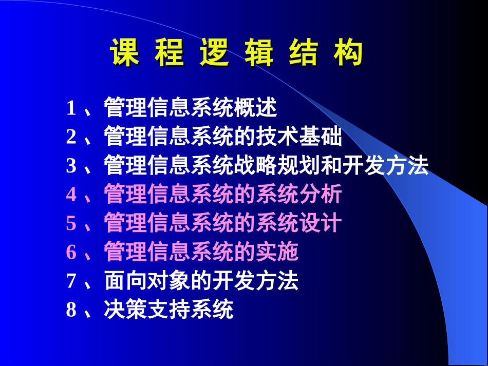 管理信息系统_第3页