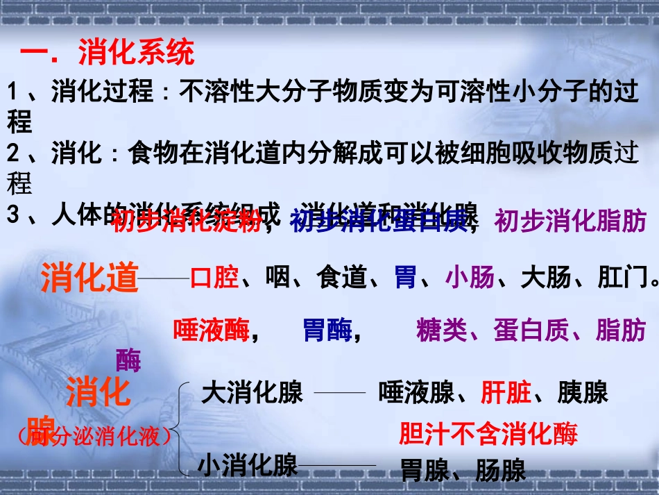 消化和吸收课件_第3页