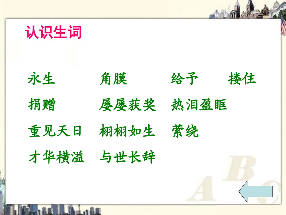 （语文A版）六年级语文下册课件永生的眼睛2_第3页