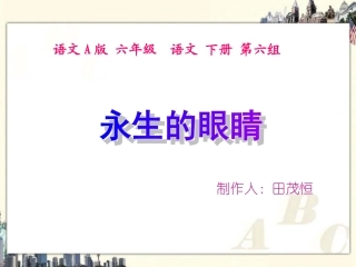 （语文A版）六年级语文下册课件永生的眼睛2