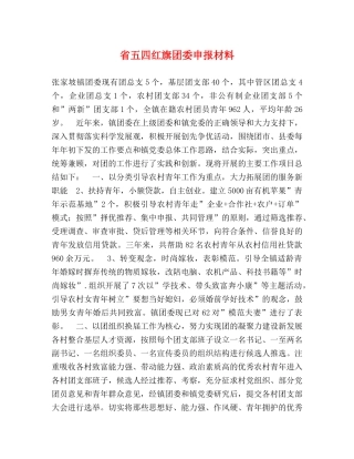 省五四红旗团委申报材料 