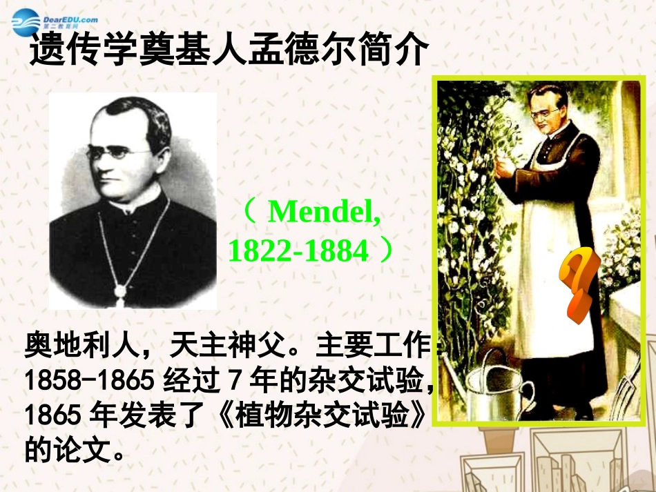 723基因的显性和隐性课件新人教版_第2页