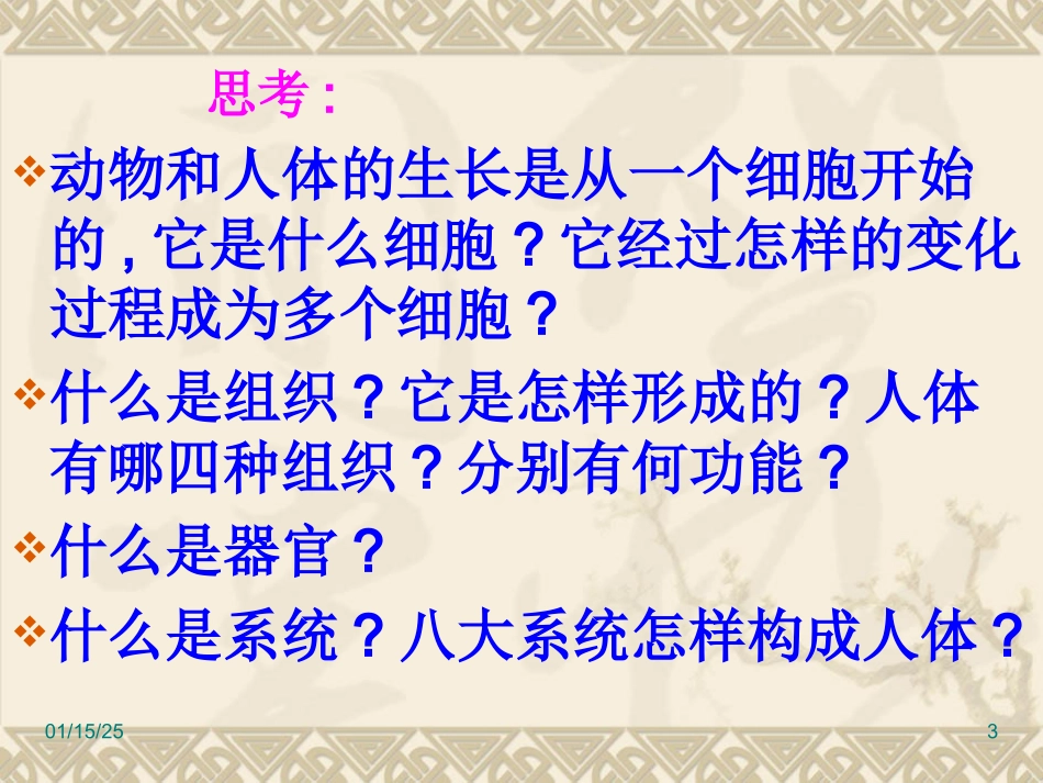 222动物体的结构层次_第3页