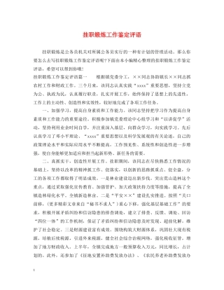 挂职锻炼工作鉴定评语 