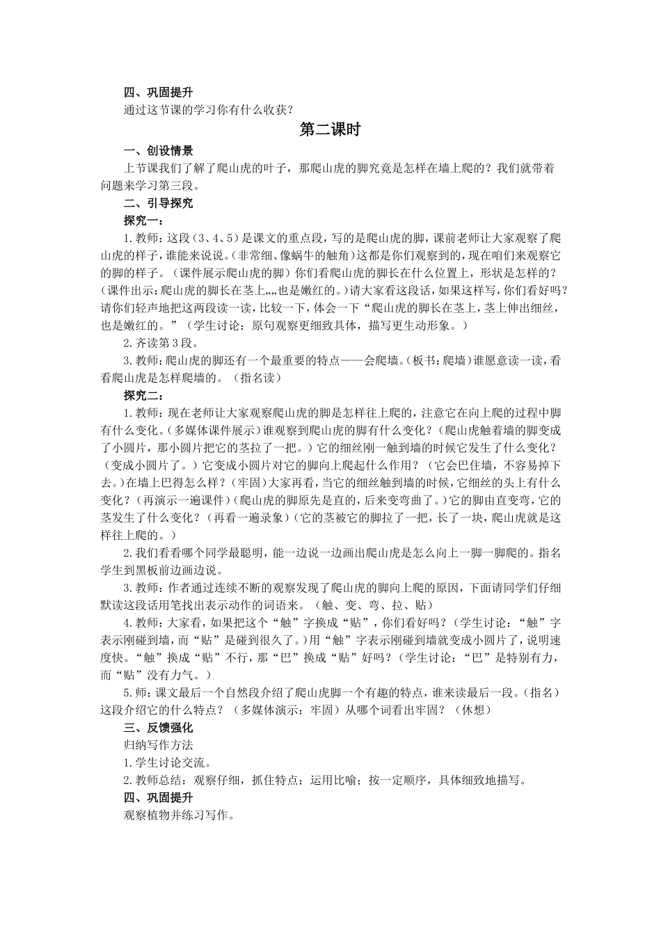 6爬山虎的脚_第2页