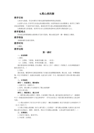 6爬山虎的脚